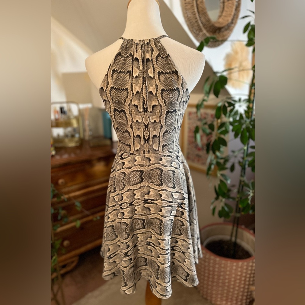 Express Dressy dress